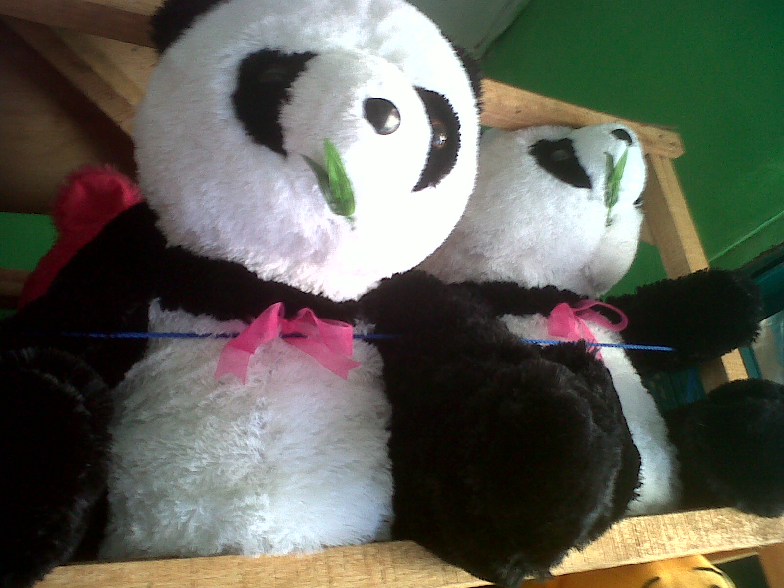  Boneka Panda aureldoll s Blog